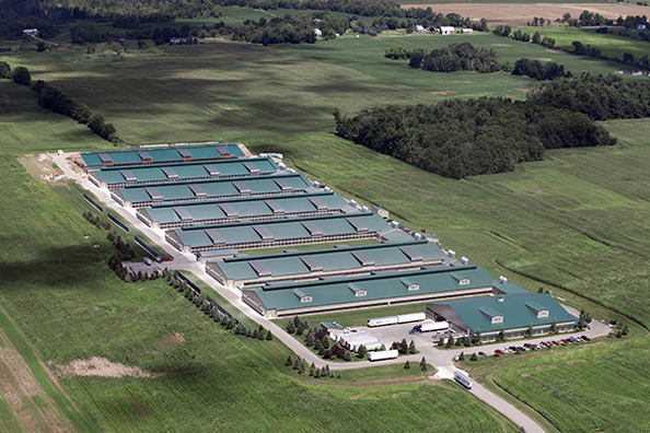 Analyseurs Cie., Ltd de Ningbo